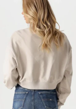 beige calvin klein sweater script institutional crewneck