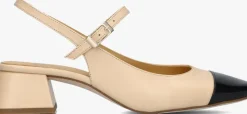 CTWLK slingbacks albania>DAMES Hakken|Slingbacks