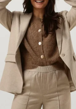 beige drykorn blazer glendale