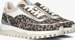 beige floris van bommel lage sneakers sfw-10131 grommi