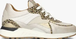 beige piedi nudi lage sneakers nova 11.30