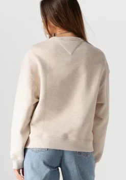 TOMMY JEANS trui tjw bxy badge crew><noscript><img width=