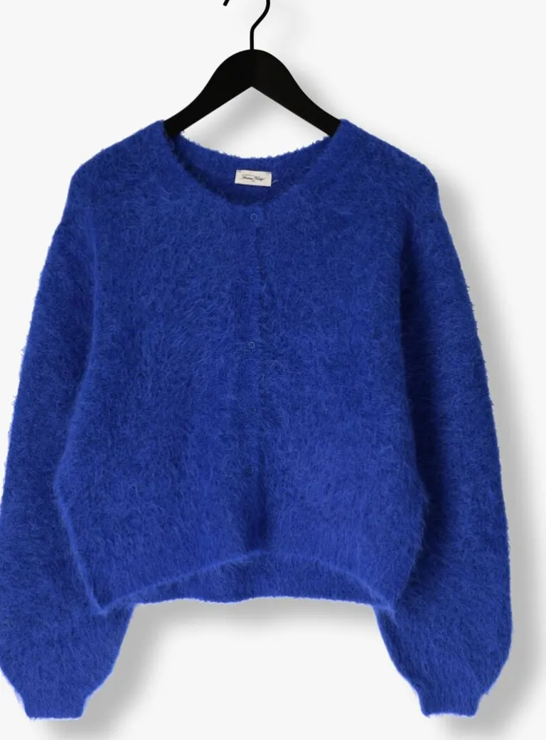 AMERICAN VINTAGE e vest niby>DAMES Truien & Vesten