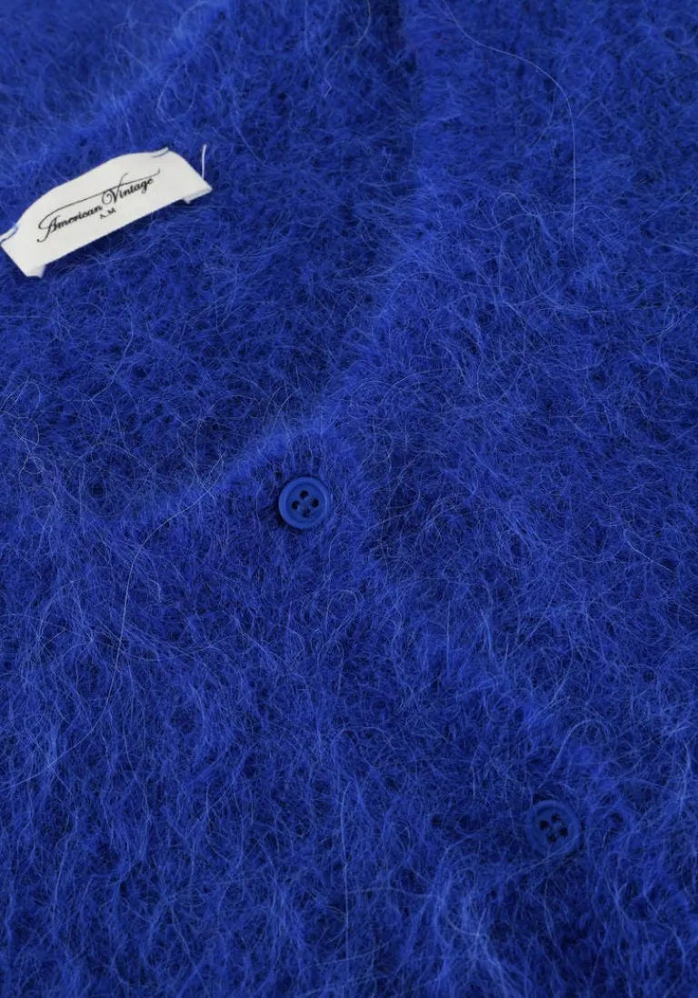 AMERICAN VINTAGE e vest niby>DAMES Truien & Vesten