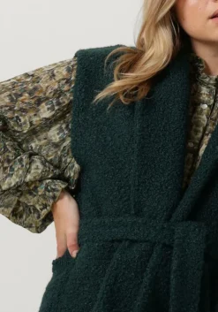 blauwe circle of trust gilet dolly gilet