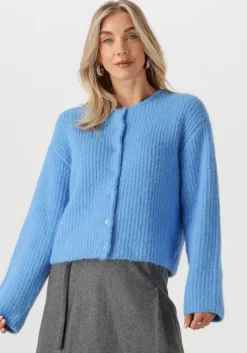 blauwe edited vest iliana