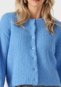 blauwe edited vest iliana