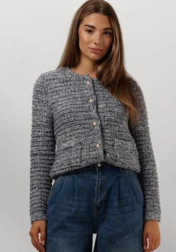 blauwe janice vest jimm