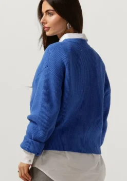 blauwe moves trui esinna