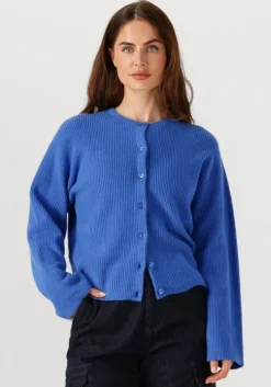 blauwe penn & ink vest cardigan w25b345