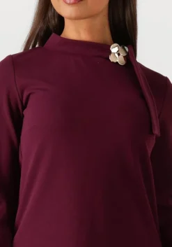 bordeaux ana alcazar mini jurk dress neck clasp