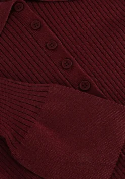 CO'COUTURE co'couture trui bonny polo long sleeve><noscript><img width=