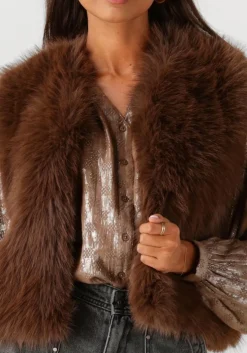 bruine circle of trust gilet giselle gilet