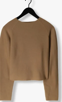bruine circle of trust trui ayden knit