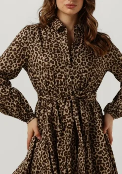 COLOURFUL REBEL e mini jurk minon leopard mini dress><noscript><img width=