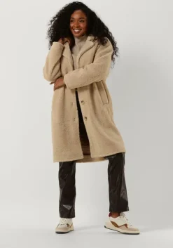 bruine envii pantalon engloria pants 6916