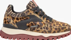 bruine floris van bommel lage sneakers sfw-10143 grommi