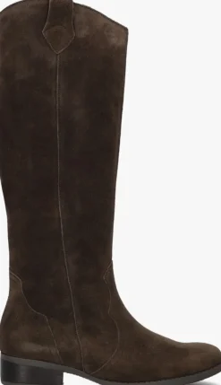 bruine gabor hoge laarzen 901