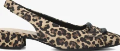 GABOR e slingbacks 521>DAMES Hakken|Slingbacks