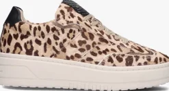 HABOOB e lage sneakers lpanemone>DAMES Sneakers