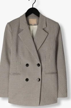 bruine josh v blazer damia