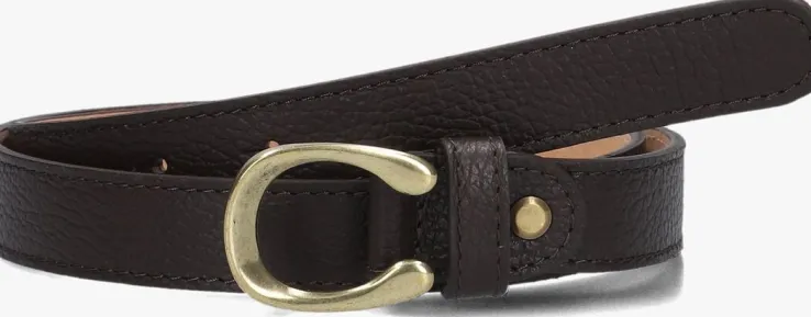 bruine notre-v riem cece