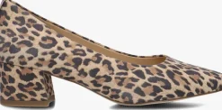 PETER KAISER e pumps 72341>DAMES Hakken