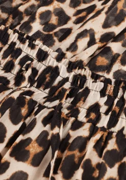 bruine suncoo midirok fado