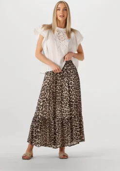 bruine suncoo midirok fado