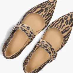 bruine toral ballerina's coeur