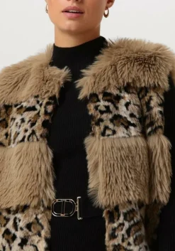 bruine twinset milano gilet 13353140-cpc