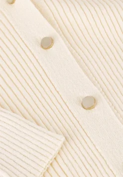 BRUUNS BAZAAR vest gallberry carica knit cardigan><noscript><img width=