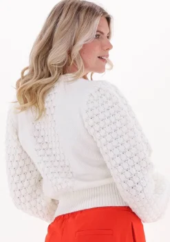 SILVIAN HEACH trui sweater andrews><noscript><img width=