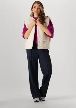 donkerblauwe colourful rebel pantalon rus pinstripe straight pants