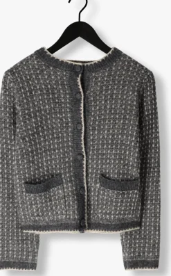 SELECTED FEMME donkergrijze vest slfsine ls knit cardigan><noscript><img width=