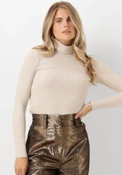 INWEAR coltrui dagnaiw rollneck melange>DAMES Truien & Vesten