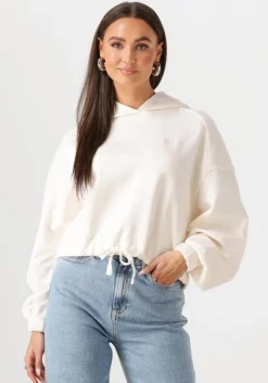 TOMMY JEANS sweater tjw crp gmd script hoodie>DAMES Truien & Vesten