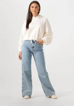 TOMMY JEANS sweater tjw crp gmd script hoodie>DAMES Truien & Vesten