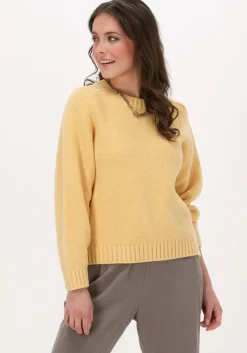 KNIT-TED gele trui quirine>DAMES Truien & Vesten