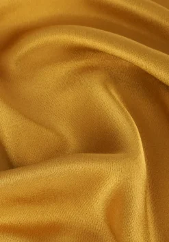 CIRCLE OF TRUST en top isabelle top><noscript><img width=