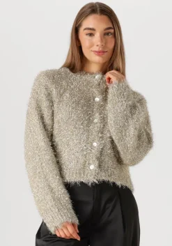 KNIT-TED en vest lynn cardigan>DAMES Truien & Vesten