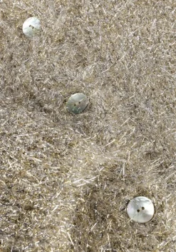 KNIT-TED en vest lynn cardigan><noscript><img width=