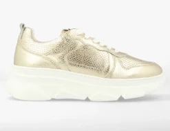 gouden red-rag lage sneakers 71566