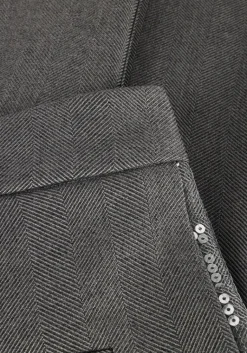 AAIKO grijze pantalon saba sequins pes 356><noscript><img width=