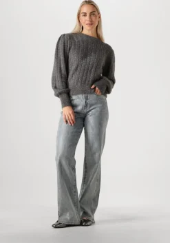 AAIKO grijze trui femme pes 377><noscript><img width=