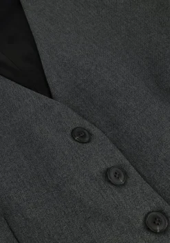 ACCESS grijze gilet d44-2158-158><noscript><img width=