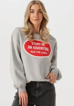 ALIX THE LABEL grijze sweater ladies knitted adventure sweater>DAMES Truien & Vesten