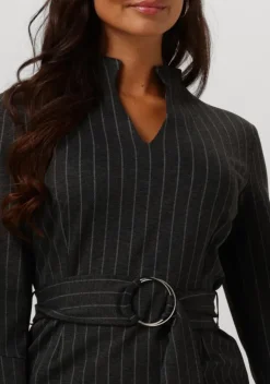 ANA ALCAZAR grijze midi jurk tight dress><noscript><img width=