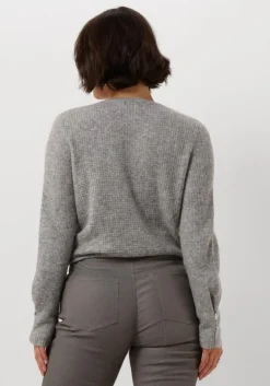 grijze caroline biss truien/vesten 4237