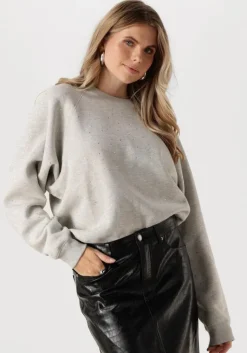 CATWALK JUNKIE grijze trui relaxed raglan sleeve sweater with strass>DAMES Truien & Vesten